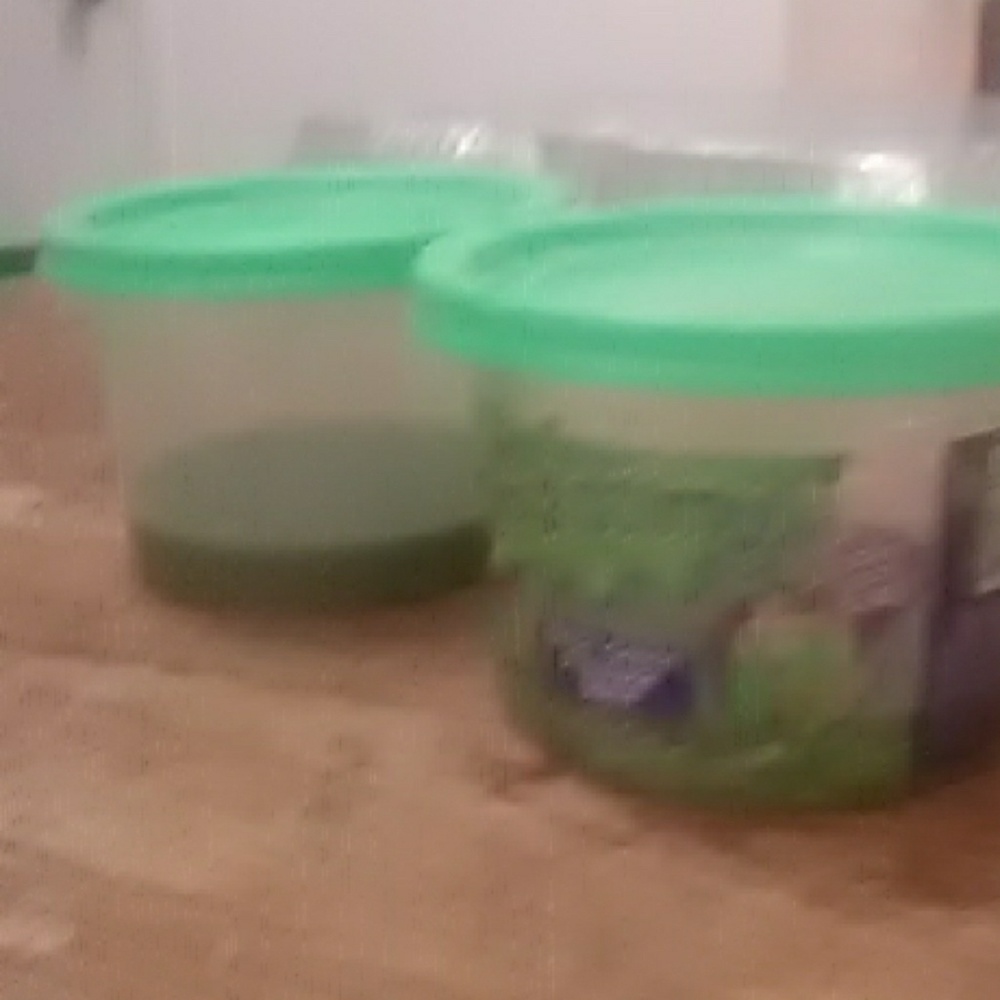 slime